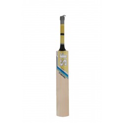 SF Trendy English Willow Cricket Bat