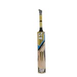 SF Trendy English Willow Cricket Bat
