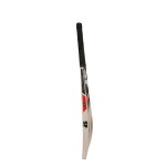 SF Vellum Hide Kashmir Willow Cricket Bat