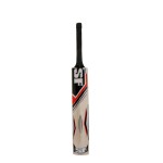 SF Vellum Hide Kashmir Willow Cricket Bat