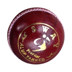 SM Sway Cricket Leather Ball