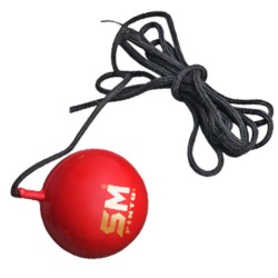 SM Cricket Synthetic Ball (With Cord)