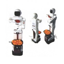 STAG Humanoid Table Tennis Robot 