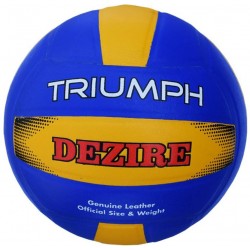 Triumph vb-201 dezire moulded volleyball