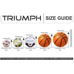 Triumph vb-201 dezire moulded volleyball