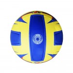 Triumph vb-204 motion hand stitch volleyball