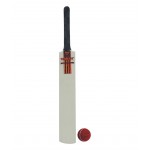 Wasan Bat and Ball Size 6 Cricket Kit