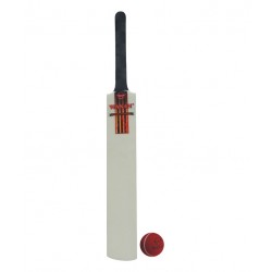 Wasan Bat and Ball Size 3 Cricket Kit