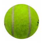 Wasan Cricket Tennis Ball