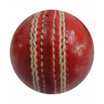 Wasan Leather Cricket Ball