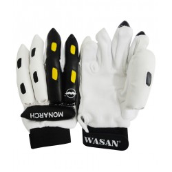 Wasan Cricket Batting Gloves