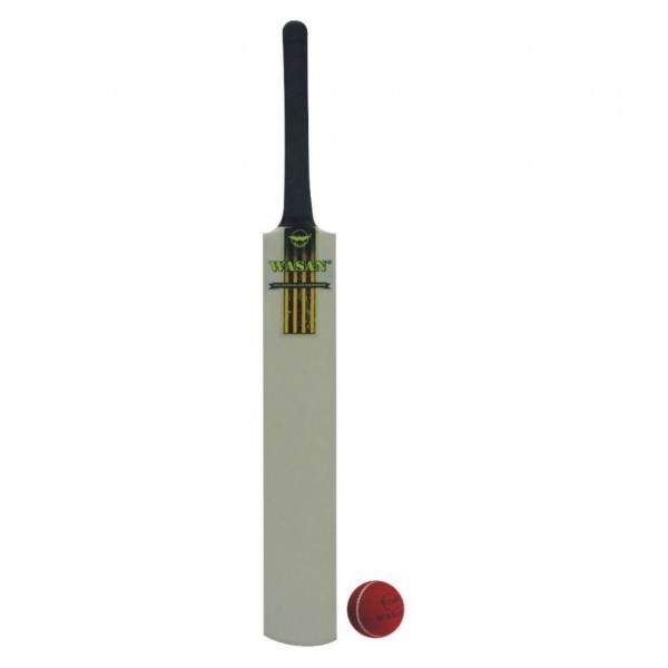 Wasan Bat and Ball Size 6 Cricket Kit