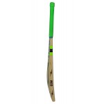 BDM Ambassador English Willow Cricket Bat (SH)