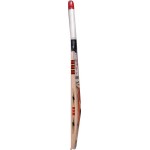 BDM Armstrong/Jai Ho Kashmir Willow Cricket Bat (SH)