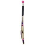 BDM Club Blaster Kashmir Willow Cricket Bat (SH)