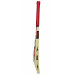BDM Fire English Willow Cricket Bat (SH)