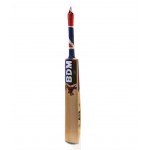 BDM Force Twenty 20 English Willow Cricket Bat (SH)