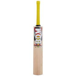BDM Galaxy Plus English Willow Cricket Bat (SH)