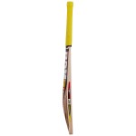 BDM Galaxy Plus English Willow Cricket Bat (SH)