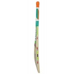 BDM World Cup English Willow Cricket Bat