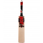 BDM Sting English Willow Cricket Bat (SH)