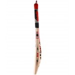 BDM Sting English Willow Cricket Bat (SH)