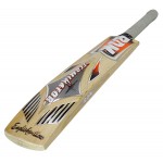 BDM Terminator English Willow Cricket Bat (SH)