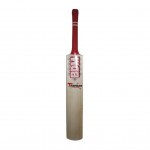 BDM Titanium English Willow Cricket Bat (SH)