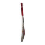 BDM Titanium English Willow Cricket Bat (SH)