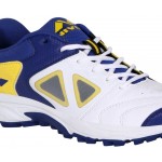 Nivia EDEN Cricket Shoes For Men 228BW (Blue)