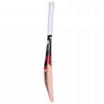SA Profilic English Willow Cricket Bat