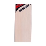 SA Captain Choice English Willow Cricket Bat