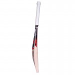 SA Platinum English Willow Cricket Bat