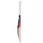 SA Pro English Willow Cricket Bat