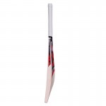 SA Beginner English Willow Cricket Bat