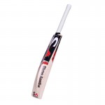SA Beginner English Willow Cricket Bat